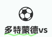 开云体育app入口-关于多特蒙德主力中卫因伤缺阵，球队整体实力受损的信息